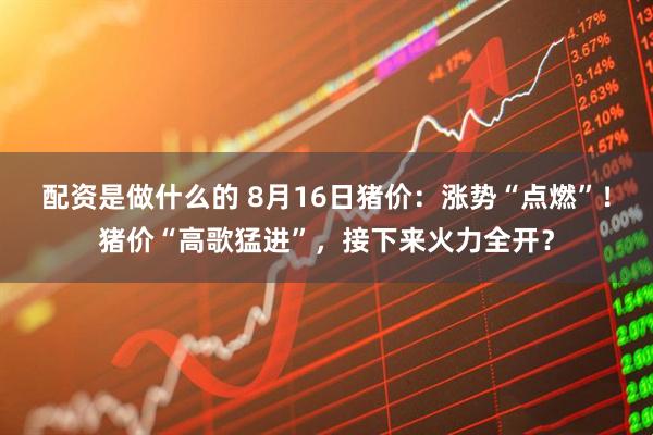 配资是做什么的 8月16日猪价：涨势“点燃”！猪价“高歌猛进”，接下来火力全开？